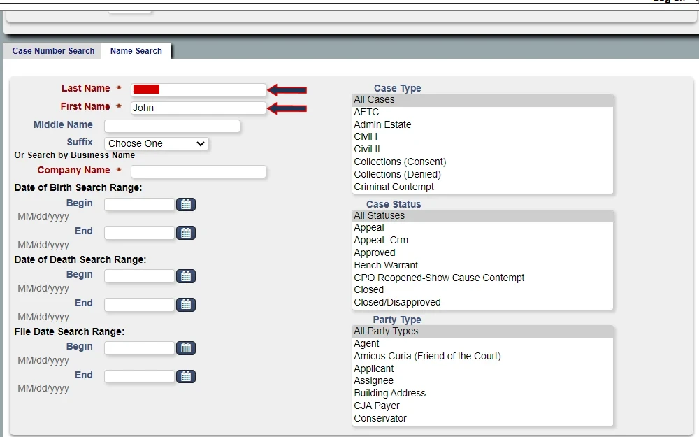 A screenshot of the DC Courts e-Access website where a user can check criminal records by searching DC criminal cases.