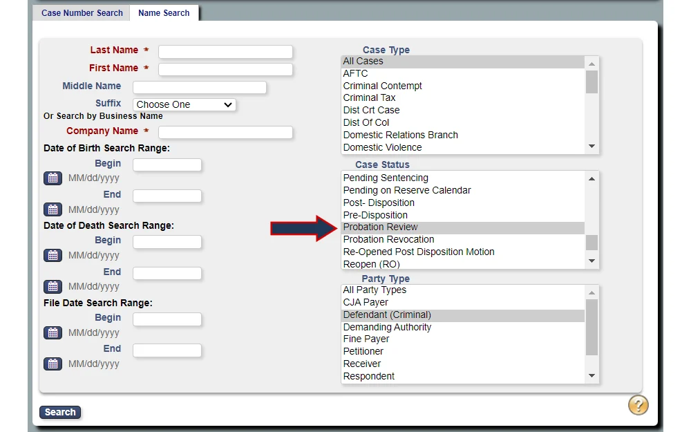 Screenshot of the name search option showing required fields for full name or company name, and optional fields for date ranges of birth, death, and filing, as well as a menu for case type, status, and party type.